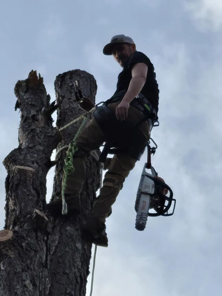 Top-rated outdoor landscaping experts serving Winona, MO - Austin Brothers Lawn care and Tree service