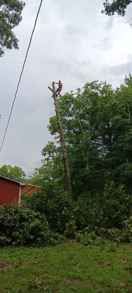 Trusted outdoor landscaping near you in Winona, MO by Austin Brothers Lawn care and Tree service