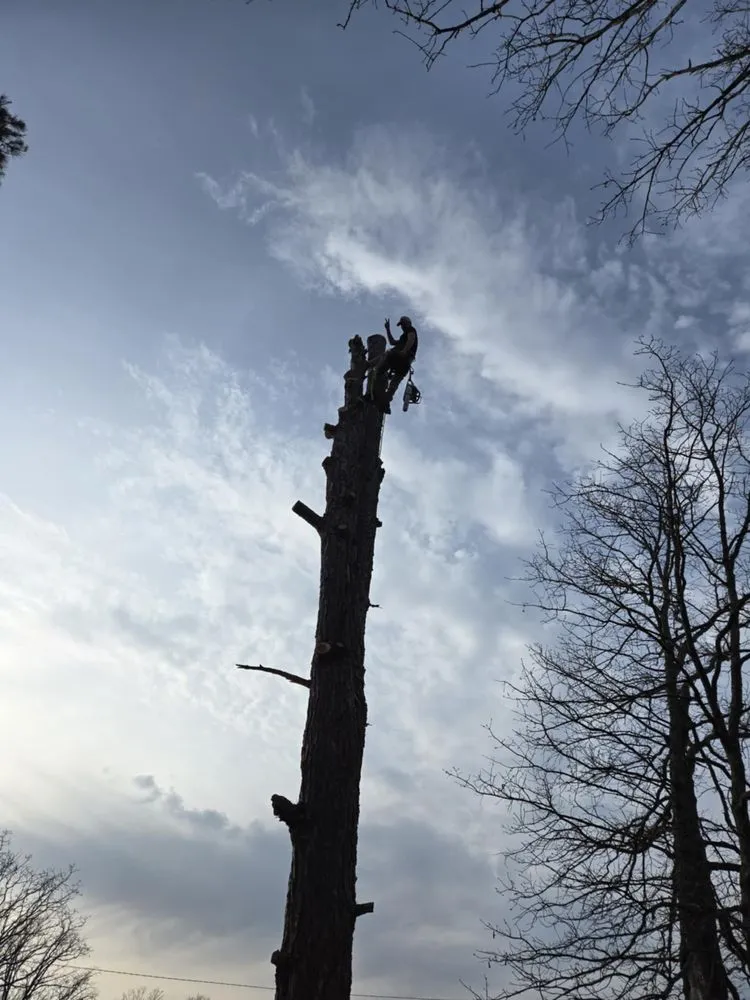 Custom lawn mowing service for homes in Winona, MO by Austin Brothers Lawn care and Tree service