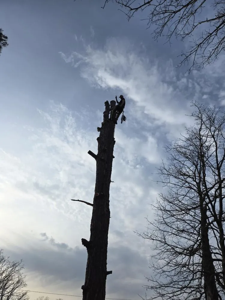 Trusted landscaping services in Winona, MO - Austin Brothers Lawn care and Tree service