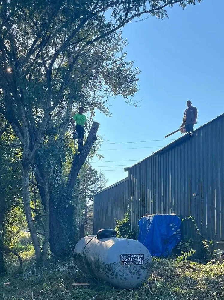 Trusted lawn mowing service in Winona, MO by Austin Brothers Lawn care and Tree service