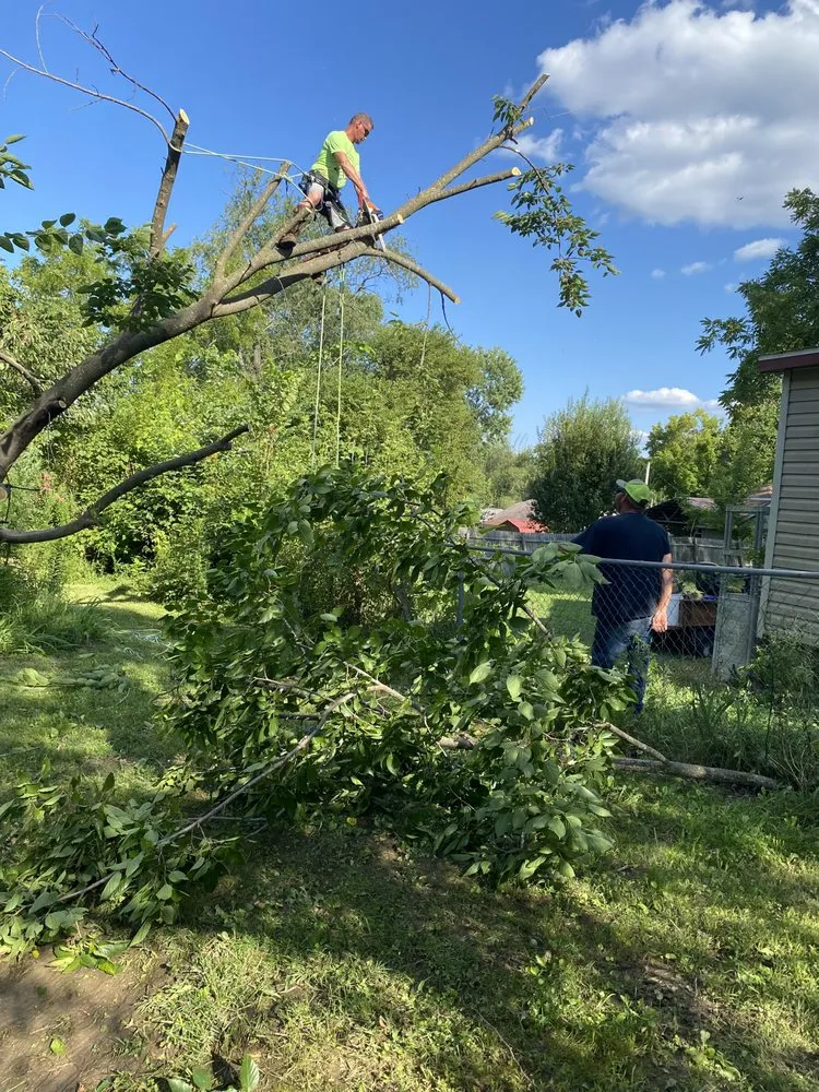 Expert garden landscaping for outdoor upgrades across Winona, MO - Austin Brothers Lawn care and Tree service