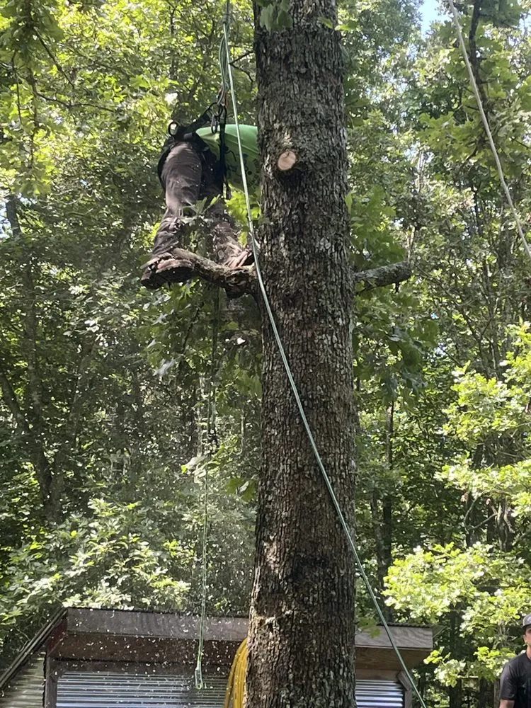 Professional landscape installation in Winona, MO - Austin Brothers Lawn care and Tree service