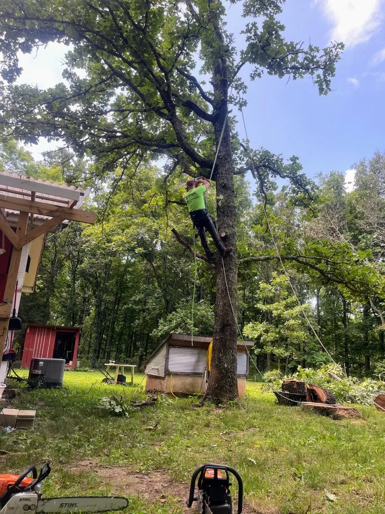 Reliable landscape design for beautiful yards in Winona, MO by Austin Brothers Lawn care and Tree service