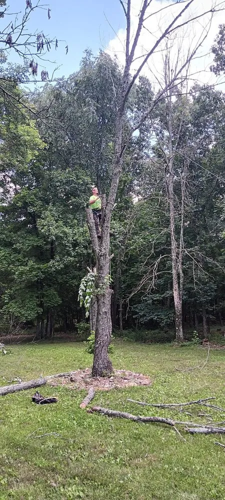 Custom landscape installation for homes across Winona, MO - Austin Brothers Lawn care and Tree service
