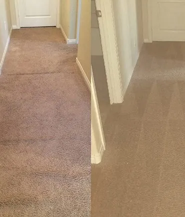 Expert lawn care service in Houston, TX - Austin Contracting Services