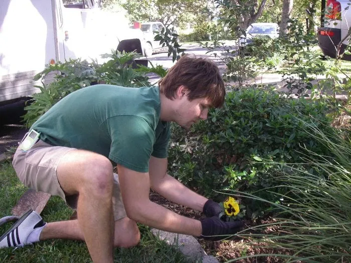 Expert landscaping services in Austin, TX - Austin Custom Landscaping