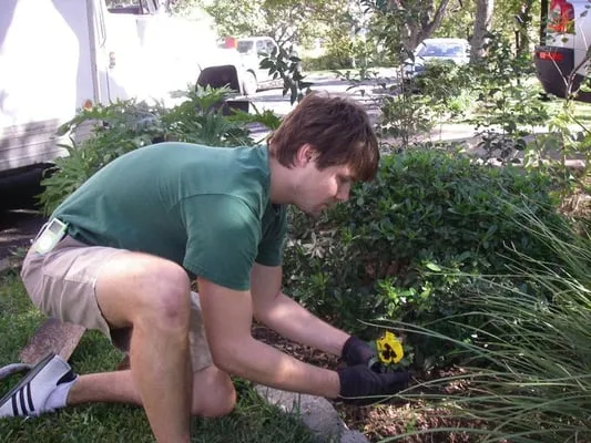 Austin Custom Landscaping Logo