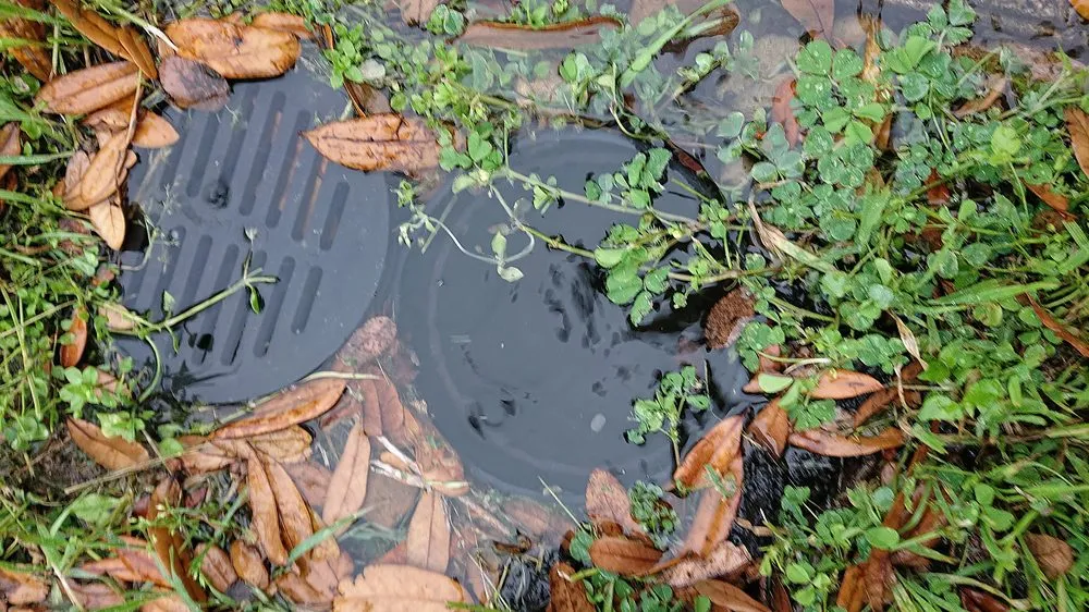 Trusted garden landscaping experts serving Austin, TX - Austin Drainage + Landscape Development