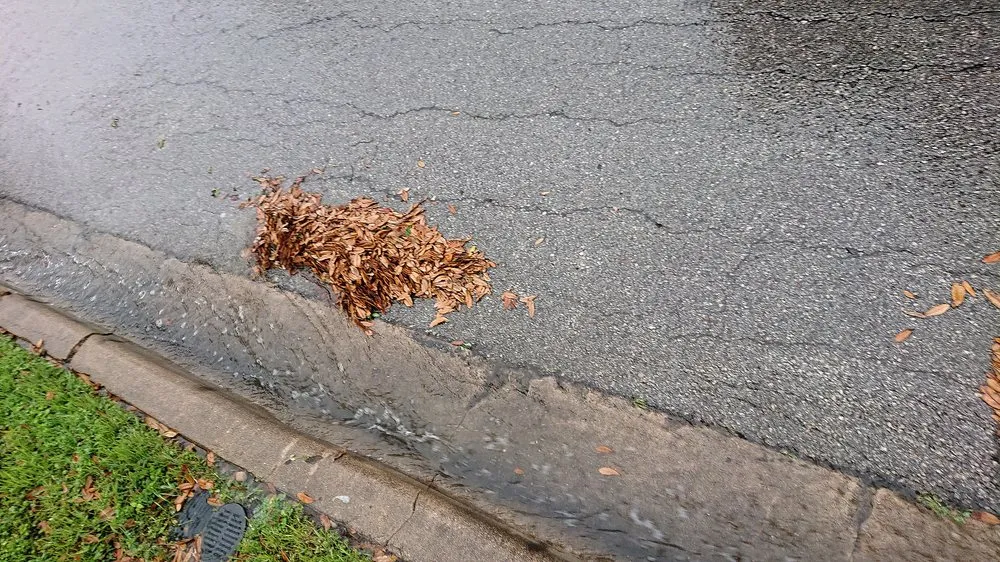 Expert residential landscaping for year-round maintenance across Austin, TX - Austin Drainage + Landscape Development