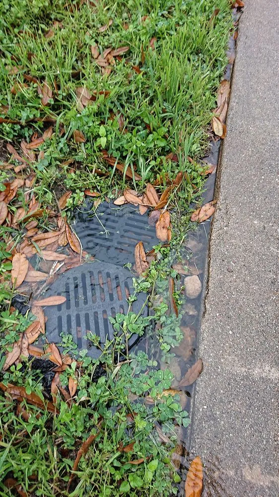 Top-rated residential landscaping experts serving Austin, TX - Austin Drainage + Landscape Development