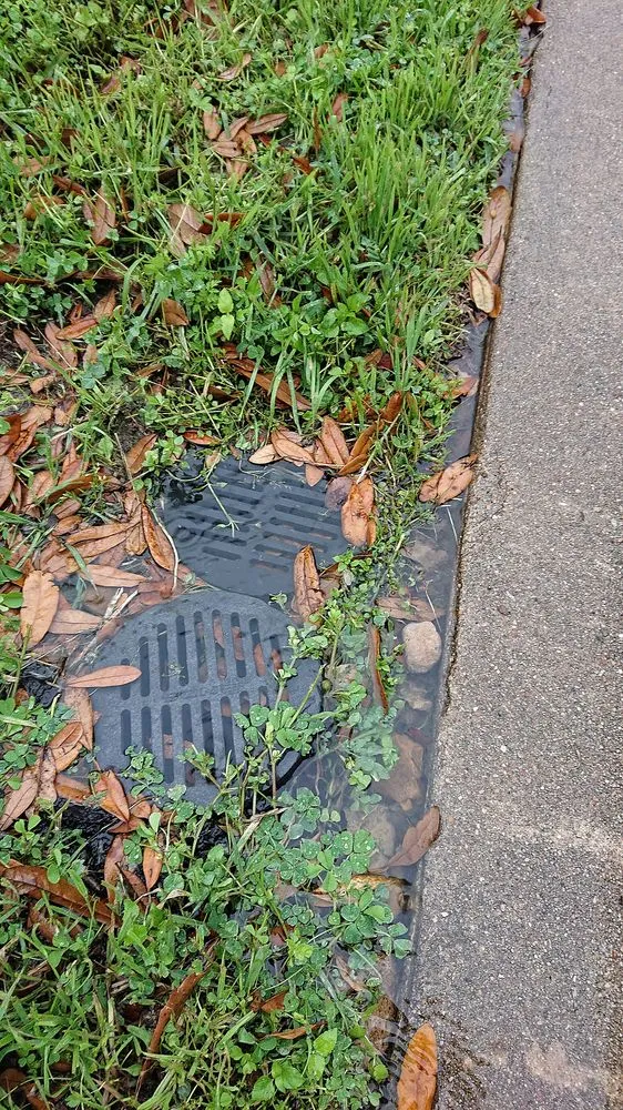 Professional yard maintenance in Austin, TX - Austin Drainage + Landscape Development