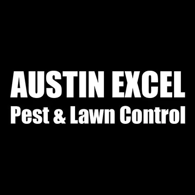 Expert yard cleanup service for outdoor upgrades across Buda, TX - Austin Excel Pest & Lawn Control