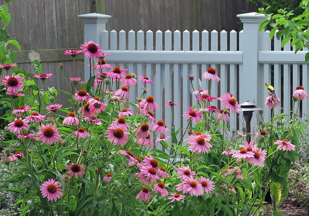 Expert lawn mowing service in Fairfield, CT by Austin Ganim Landscape Design, LLC