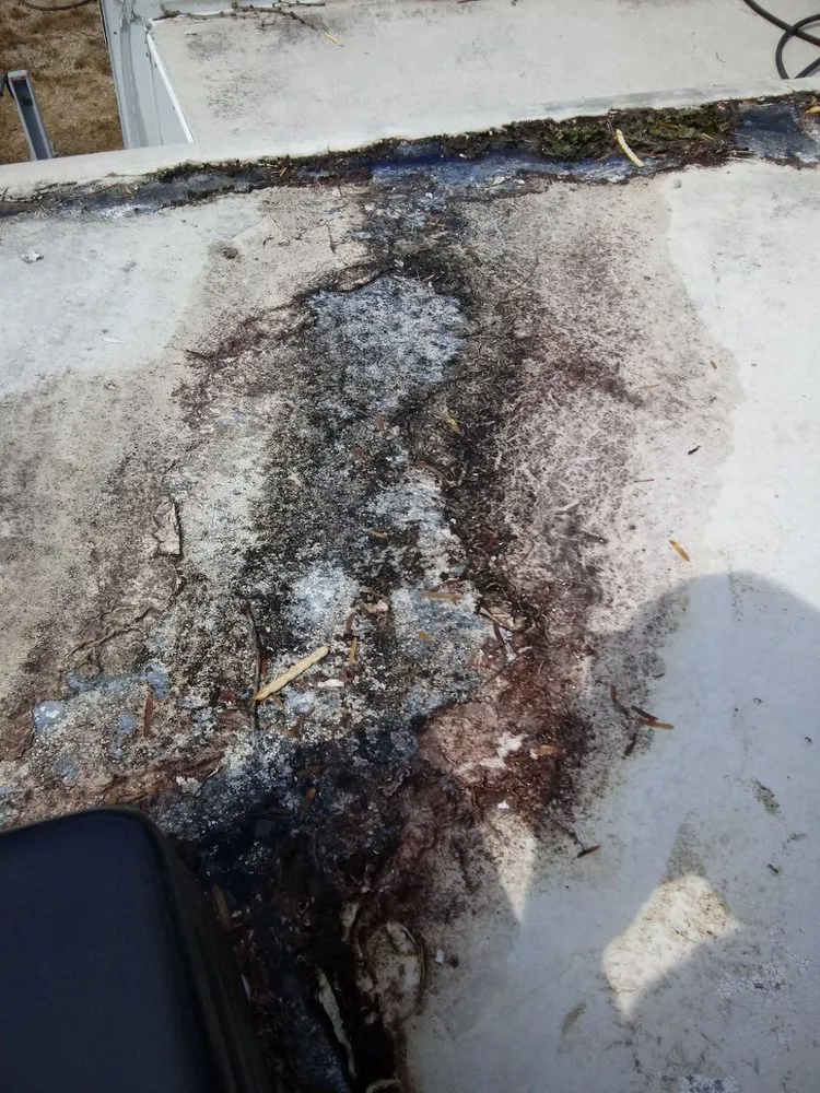 Trusted outdoor landscaping in Austin, TX - Austin Knight Clean