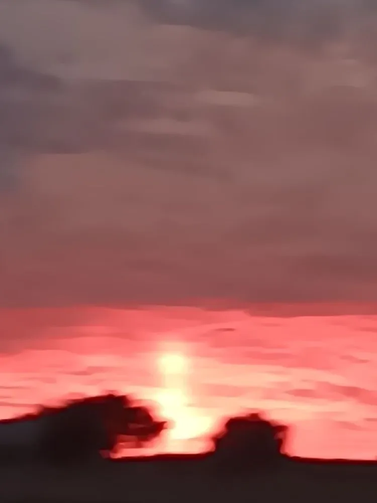 Local yard cleanup service for beautiful yards in Austin, TX by Austin Knight Clean