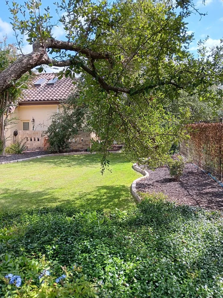 Reliable residential landscaping in Austin, TX by Austin Knight Clean