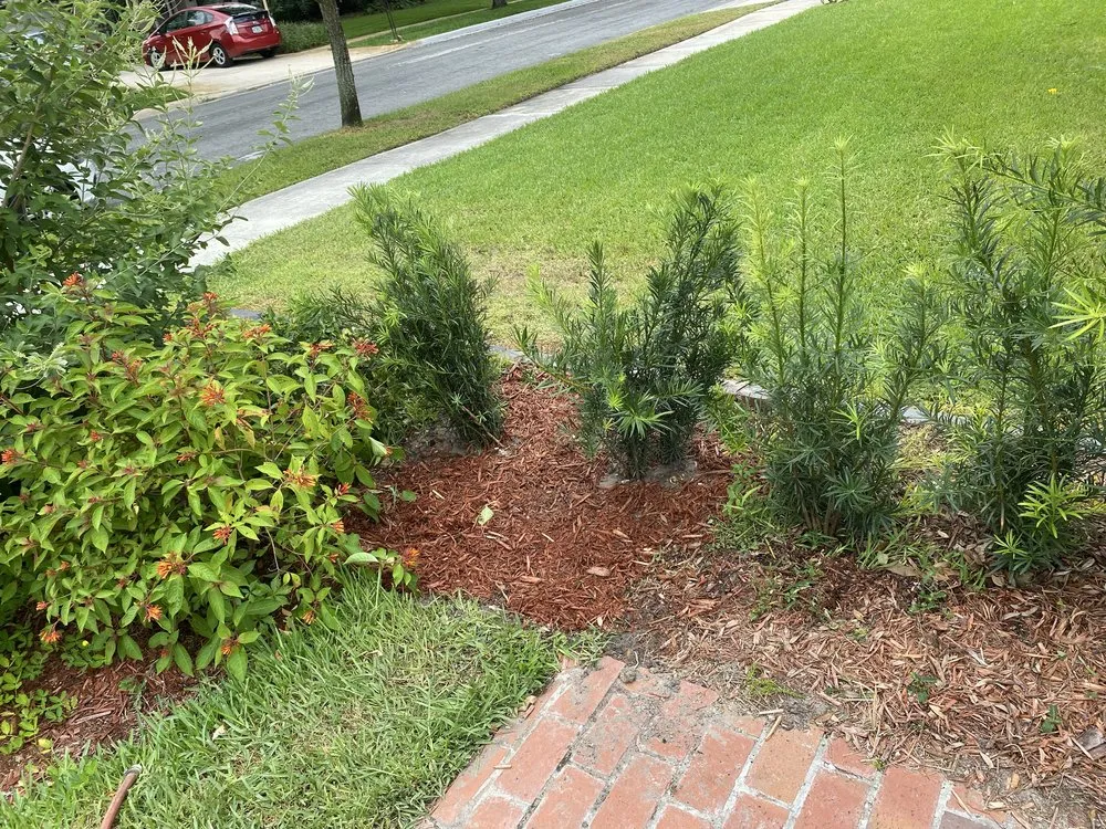 Top-rated landscaping services for outdoor upgrades across Altamonte Springs, FL - Austin Lamb