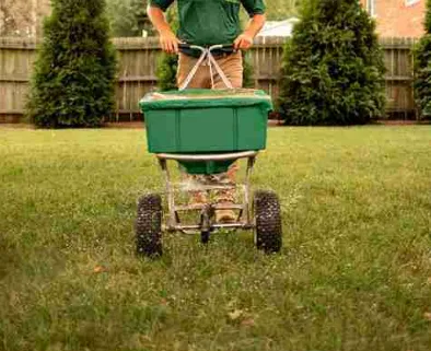 Professional residential landscaping in Altamonte Springs, FL by Austin Lamb