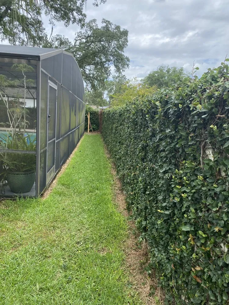 Expert residential landscaping for beautiful yards across Altamonte Springs, FL - Austin Lamb