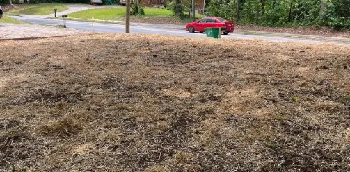 Trusted garden landscaping in Altamonte Springs, FL by Austin Lamb