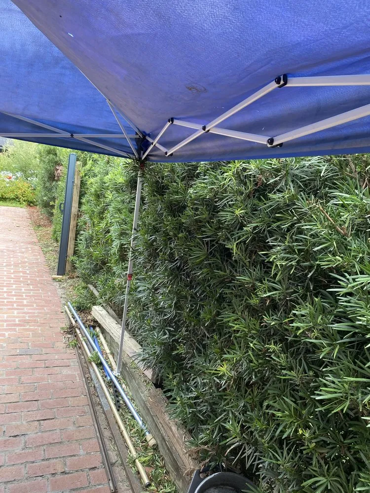 Custom outdoor landscaping in Altamonte Springs, FL - Austin Lamb