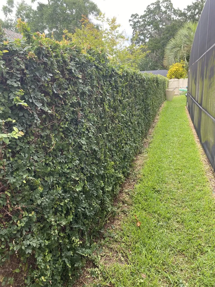 Reliable residential landscaping in Altamonte Springs, FL - Austin Lamb