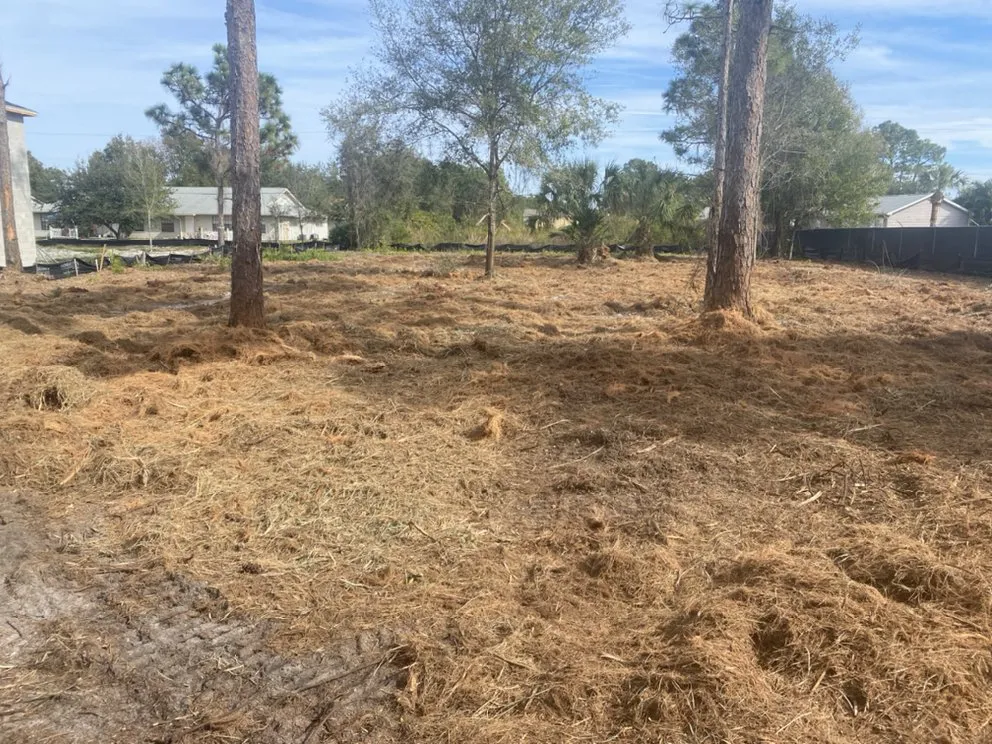 Reliable yard cleanup service in Melbourne, FL - Austin Land Services