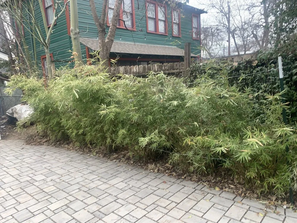 Trusted lawn mowing service experts serving Manchaca, TX - Austin Landscape and Design