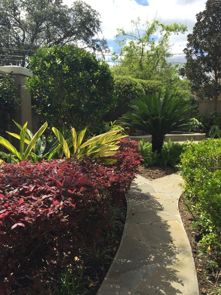 Affordable yard cleanup service in Houston, TX - Austin Landscaping