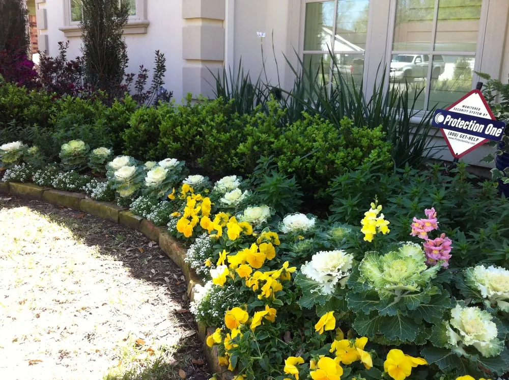 Expert landscape installation experts serving Houston, TX - Austin Landscaping