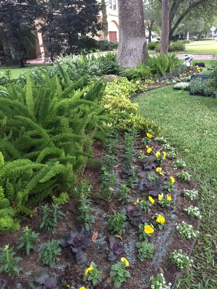 Affordable outdoor landscaping with custom design in Houston, TX by Austin Landscaping