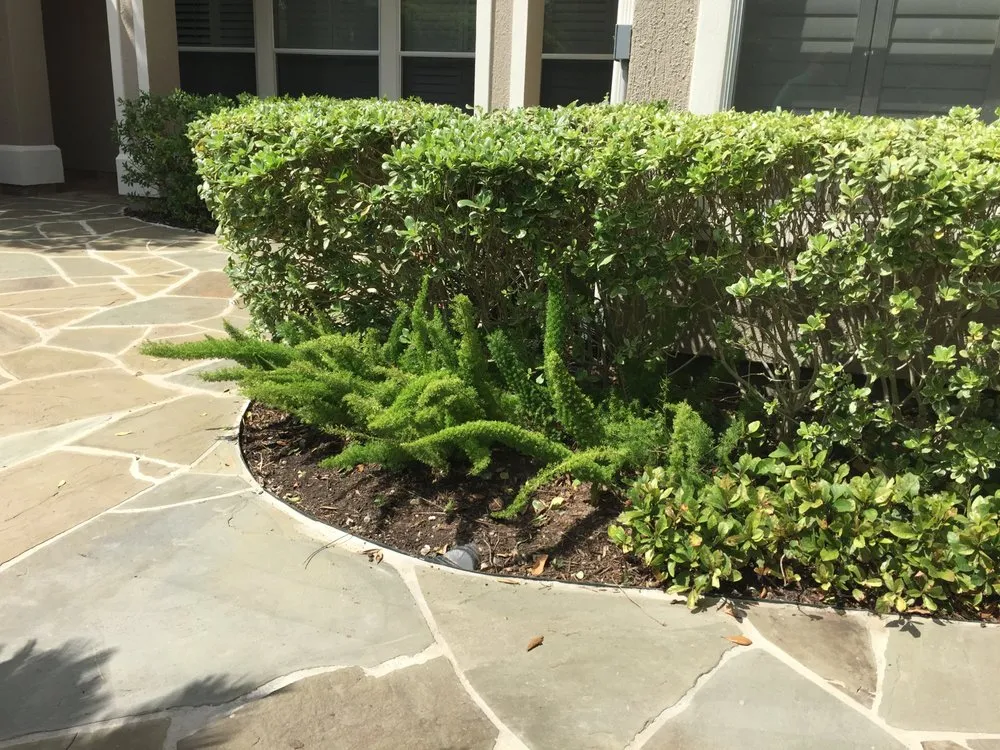 Professional landscape design near you across Houston, TX - Austin Landscaping