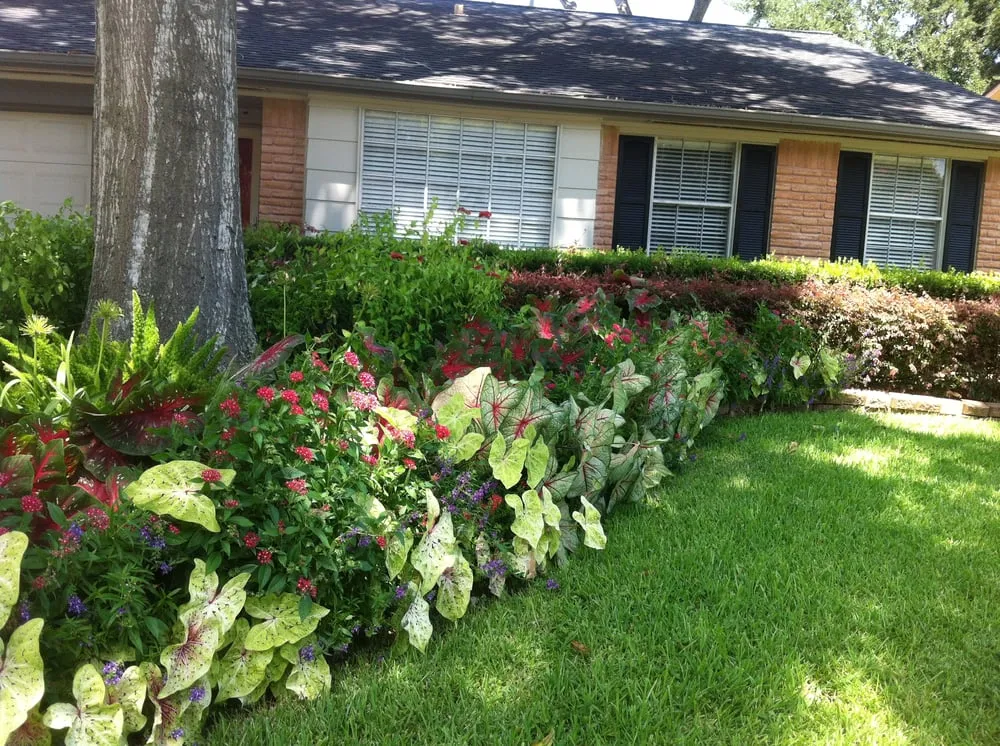 Reliable landscaping services for beautiful yards across Houston, TX - Austin Landscaping