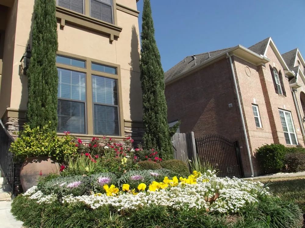 Professional landscaping services near you in Houston, TX by Austin Landscaping