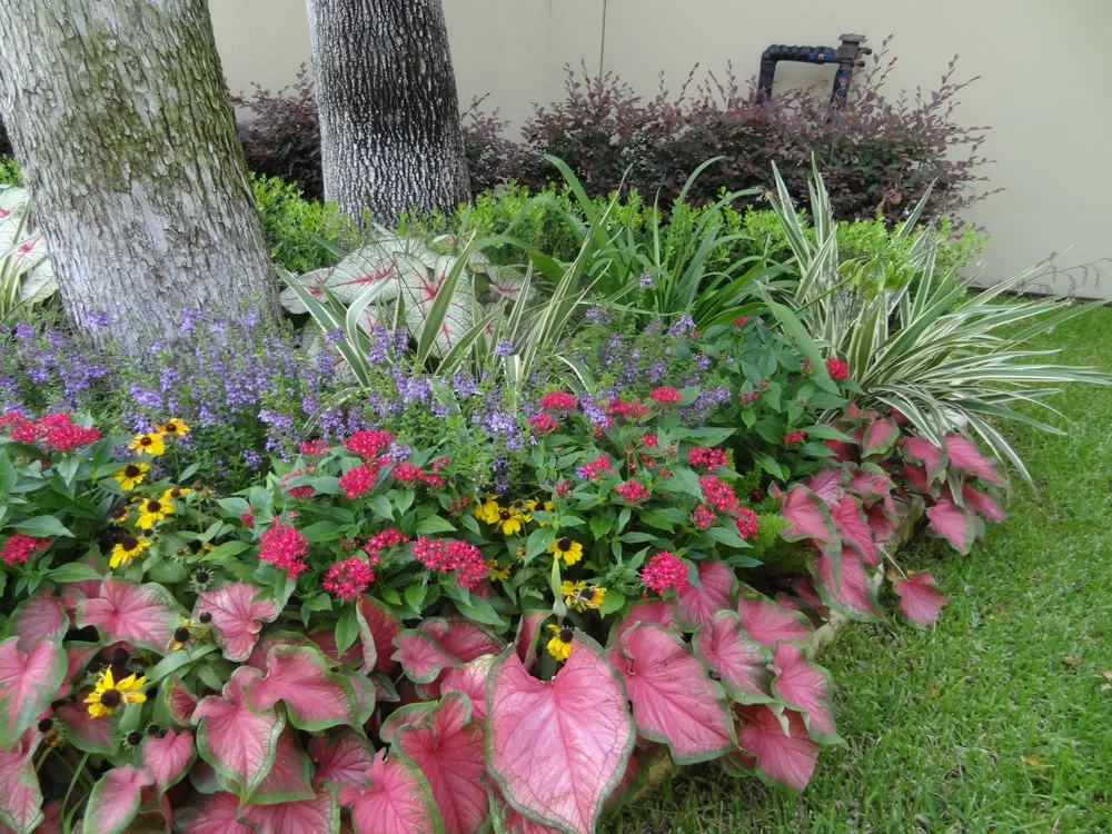 Trusted yard cleanup service for outdoor upgrades in Houston, TX by Austin Landscaping