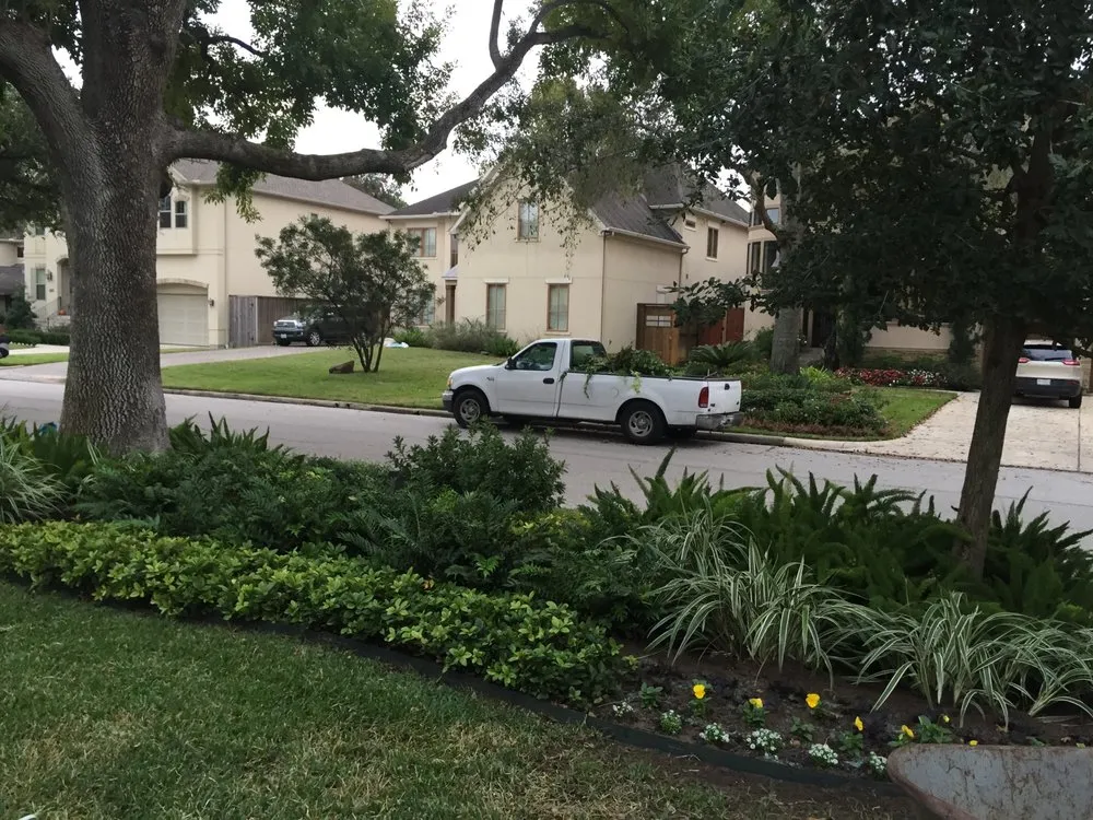 Expert yard cleanup service in Houston, TX by Austin Landscaping