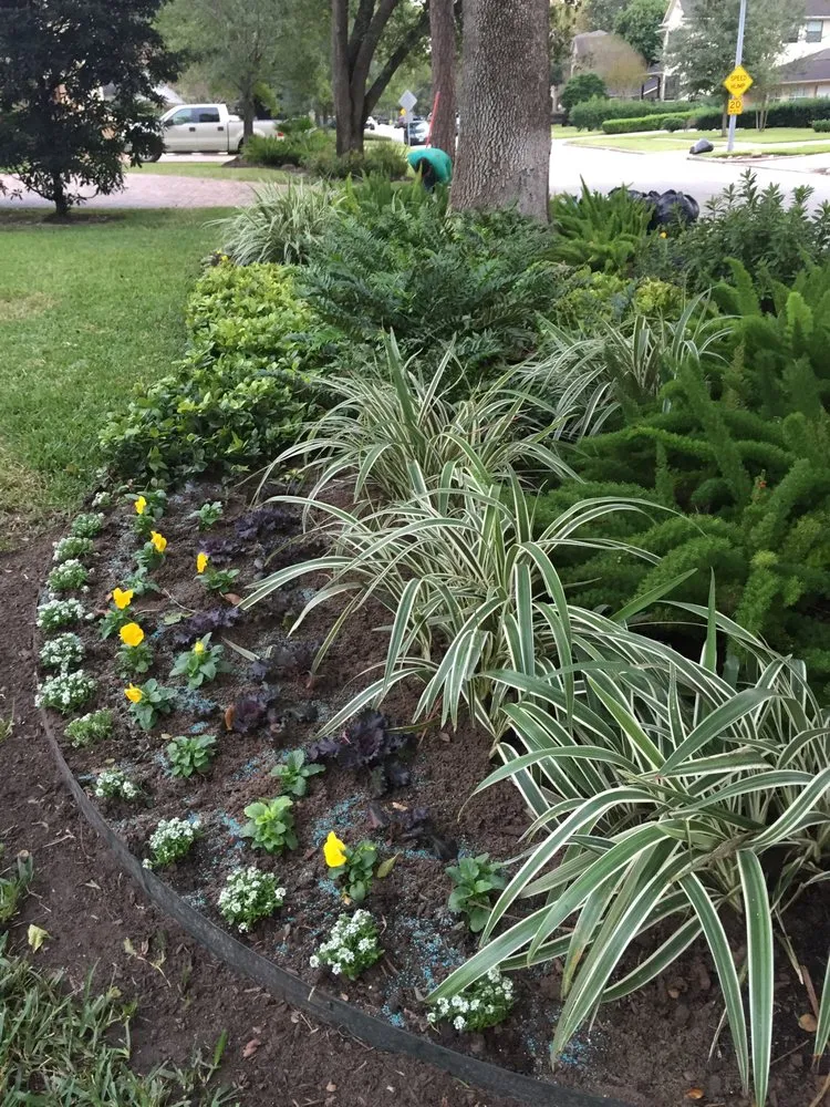 Trusted landscape installation experts serving Houston, TX - Austin Landscaping