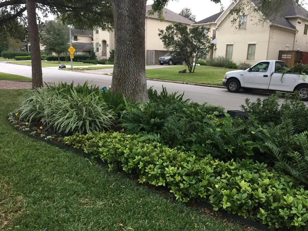 Affordable landscape installation experts serving Houston, TX - Austin Landscaping