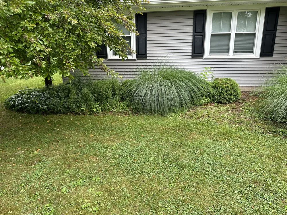 Local yard cleanup service in Lockport, NY by Austin Landscaping