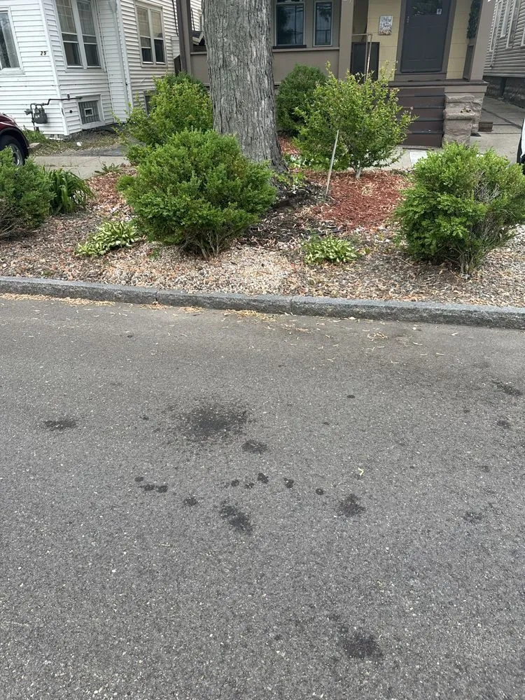 Professional landscape design experts serving Lockport, NY - Austin Landscaping