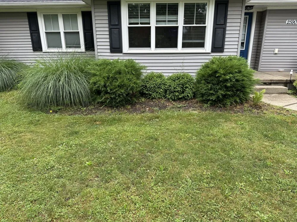 Affordable yard cleanup service in Lockport, NY by Austin Landscaping