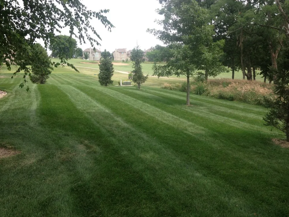 Reliable yard cleanup service in Austin, TX by Austin Lawn