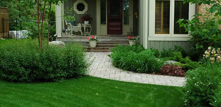 Custom landscape installation in Austin, TX by Austin Lawn