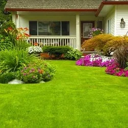 Expert garden landscaping in Austin, TX - Austin Lawn