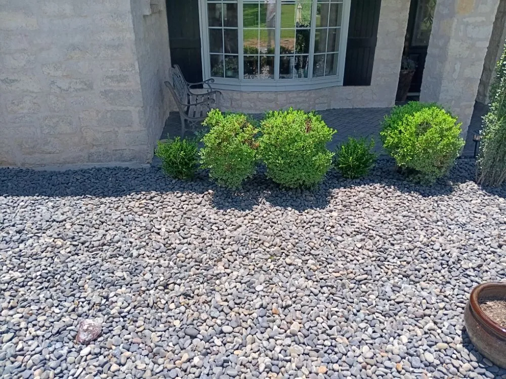 Local residential landscaping in Austin, TX by Austin Lawn Care