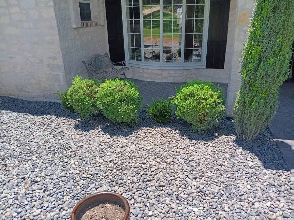 Local yard cleanup service in Austin, TX by Austin Lawn Care