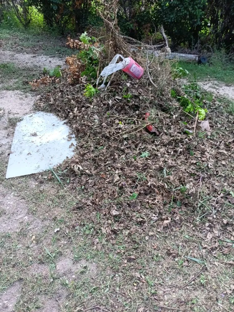 Local lawn mowing service in Austin, TX by Austin Lawn Care