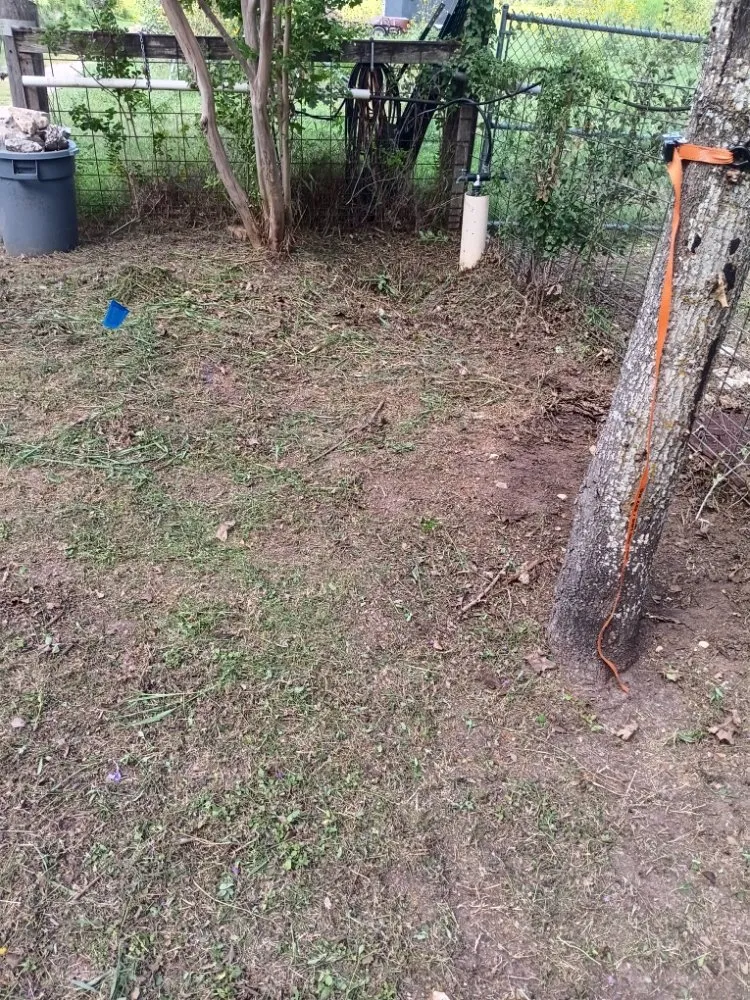 Custom lawn care service in Austin, TX - Austin Lawn Care