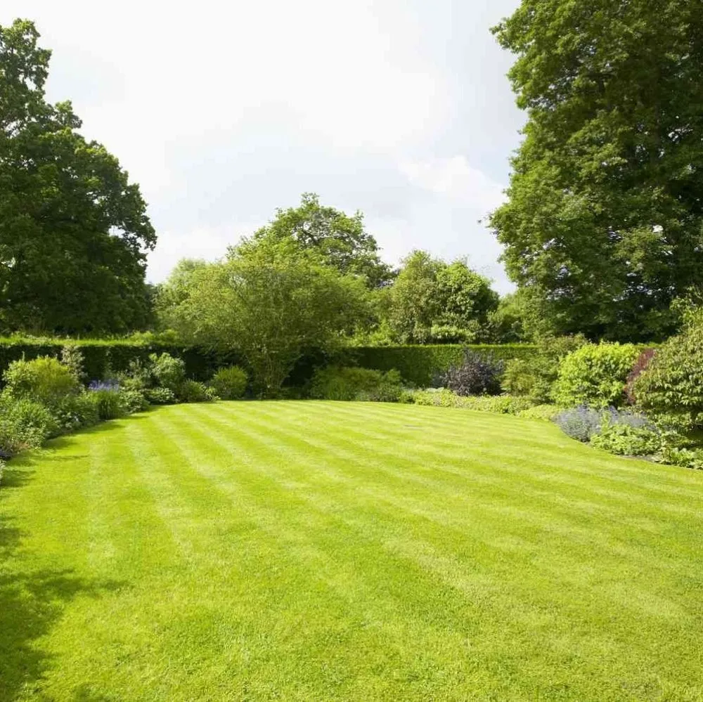 Custom landscaping services for beautiful yards across Austin, TX - Austin Lawn Care